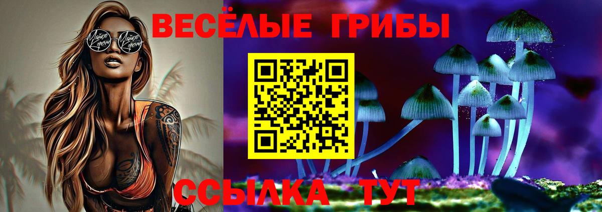 Елец  Галлюциногенные грибы MAGIC MUSHROOMS  Вход с VPN 